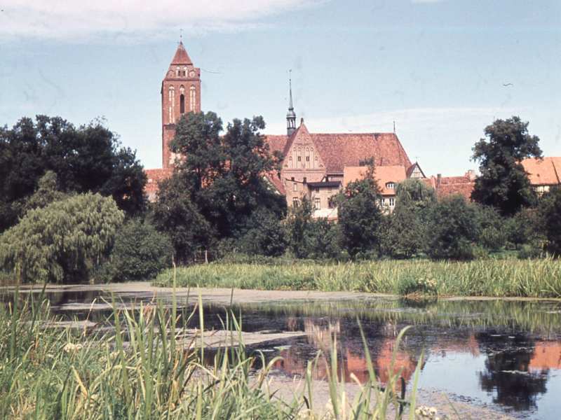 Zum Vergrößern Bild anklicken